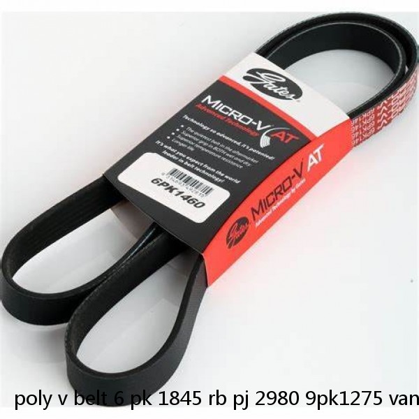 poly v belt 6 pk 1845 rb pj 2980 9pk1275 vanbelt 6pje 1184 vanbelt 210j 4jb1 fan belt for isuzu