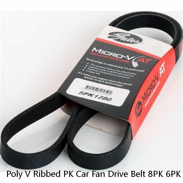 Poly V Ribbed PK Car Fan Drive Belt 8PK 6PK 4PK