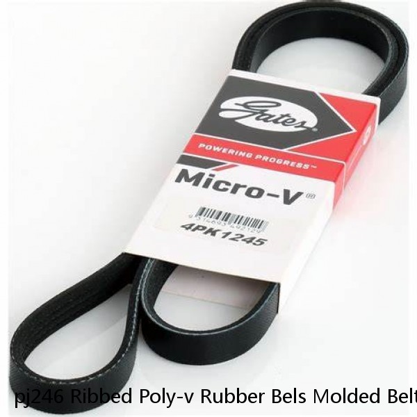 pj246 Ribbed Poly-v Rubber Bels Molded Belt