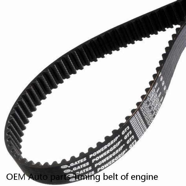 OEM Auto parts Timing belt of engine #1 small image