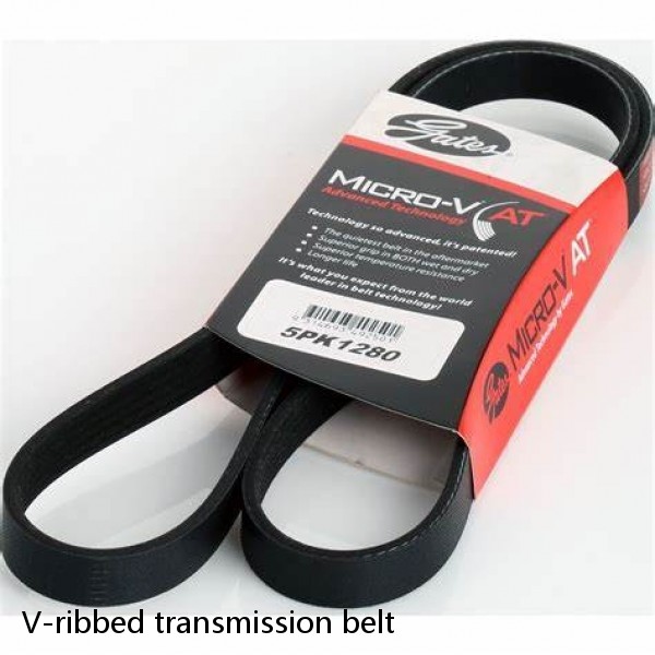 V-ribbed transmission belt #1 small image