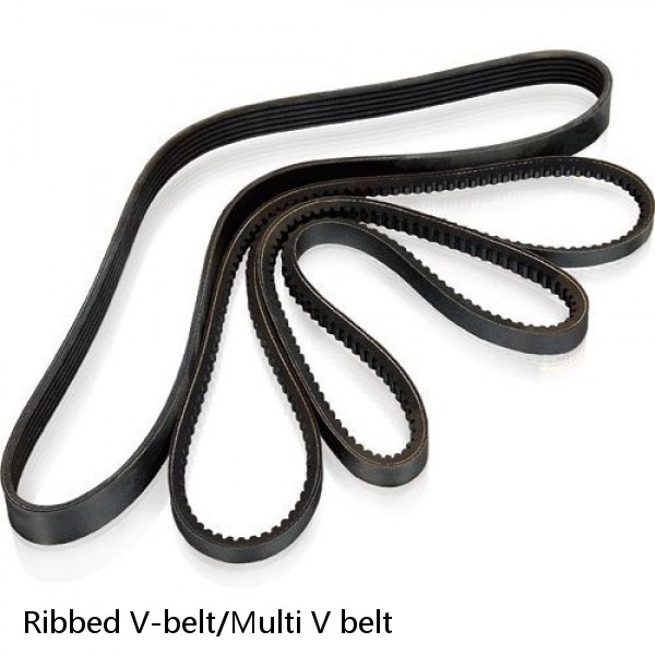 Ribbed V-belt/Multi V belt #1 small image