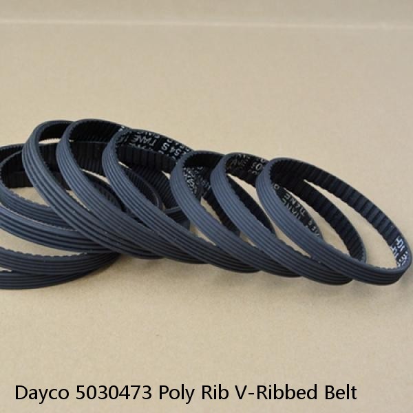 Dayco 5030473 Poly Rib V-Ribbed Belt