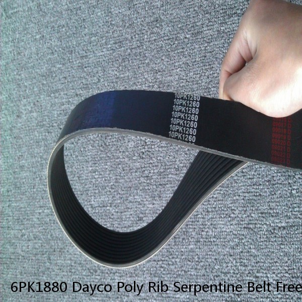 6PK1880 Dayco Poly Rib Serpentine Belt Free Shipping Free Returns 5060740