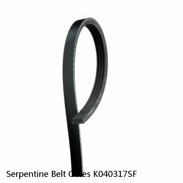 Serpentine Belt Gates K040317SF #1 small image