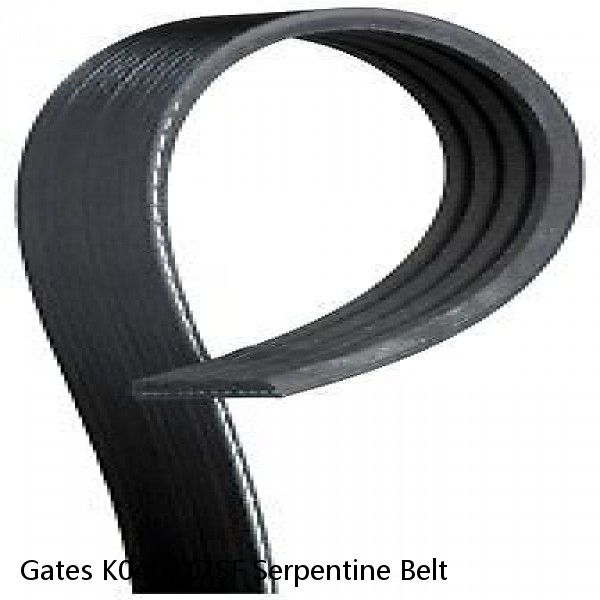 Gates K040317SF Serpentine Belt #1 small image