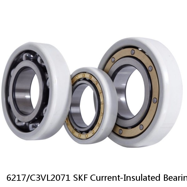 6217/C3VL2071 SKF Current-Insulated Bearings #1 image