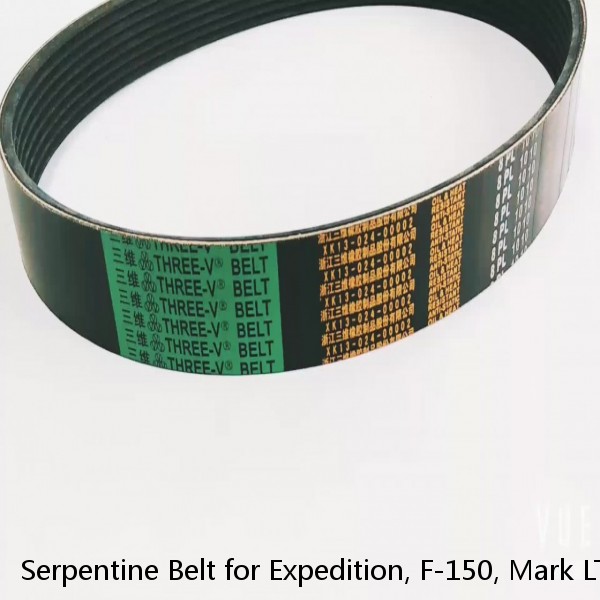 Serpentine Belt for Expedition, F-150, Mark LT, Navigator Dayco Poly rib 5061030 #1 image