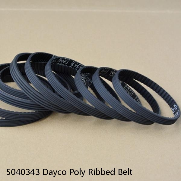 5040343 Dayco Poly Ribbed Belt  #1 image